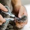 image:imageMr Pen Cat Nail Clipper Stainless Steel  Professional Sharp Cat Claw Trimmer for Small and Medium Cats Pet Nail Clipper with Sturdy Non Slip HandleOlive