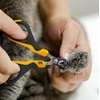 image:imageMr Pen Cat Nail Clipper Stainless Steel  Professional Sharp Cat Claw Trimmer for Small and Medium Cats Pet Nail Clipper with Sturdy Non Slip HandleOrangeBlack