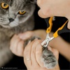 image:imageMr Pen Cat Nail Clipper Stainless Steel  Professional Sharp Cat Claw Trimmer for Small and Medium Cats Pet Nail Clipper with Sturdy Non Slip HandleOrangeBlack