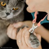 image:imageMr Pen Cat Nail Clipper Stainless Steel  Professional Sharp Cat Claw Trimmer for Small and Medium Cats Pet Nail Clipper with Sturdy Non Slip HandlePeachTeal
