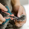 image:imageMr Pen Cat Nail Clipper Stainless Steel  Professional Sharp Cat Claw Trimmer for Small and Medium Cats Pet Nail Clipper with Sturdy Non Slip HandlePeachTeal