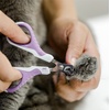 image:imageMr Pen Cat Nail Clipper Stainless Steel  Professional Sharp Cat Claw Trimmer for Small and Medium Cats Pet Nail Clipper with Sturdy Non Slip HandlePurple