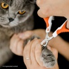 image:imageMr Pen Cat Nail Clipper Stainless Steel  Professional Sharp Cat Claw Trimmer for Small and Medium Cats Pet Nail Clipper with Sturdy Non Slip HandleRaspberry Red  White