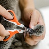 image:imageMr Pen Cat Nail Clipper Stainless Steel  Professional Sharp Cat Claw Trimmer for Small and Medium Cats Pet Nail Clipper with Sturdy Non Slip HandleRaspberry Red  White