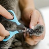 image:imageMr Pen Cat Nail Clipper Stainless Steel  Professional Sharp Cat Claw Trimmer for Small and Medium Cats Pet Nail Clipper with Sturdy Non Slip HandleSky Blue  Dark Gray