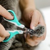 image:imageMr Pen Cat Nail Clipper Stainless Steel  Professional Sharp Cat Claw Trimmer for Small and Medium Cats Pet Nail Clipper with Sturdy Non Slip HandleSky Blue