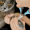 image:imageMr Pen Cat Nail Clipper Stainless Steel  Professional Sharp Cat Claw Trimmer for Small and Medium Cats Pet Nail Clipper with Sturdy Non Slip HandleSky Blue  Dark Gray