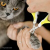 image:imageMr Pen Cat Nail Clipper Stainless Steel  Professional Sharp Cat Claw Trimmer for Small and Medium Cats Pet Nail Clipper with Sturdy Non Slip HandleWhiteLime Green