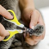 image:imageMr Pen Cat Nail Clipper Stainless Steel  Professional Sharp Cat Claw Trimmer for Small and Medium Cats Pet Nail Clipper with Sturdy Non Slip HandleWhiteLime Green