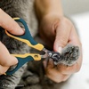 image:imageMr Pen Cat Nail Clipper Stainless Steel  Professional Sharp Cat Claw Trimmer for Small and Medium Cats Pet Nail Clipper with Sturdy Non Slip HandleYellowDark Teal