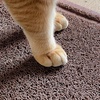 image:imageMr Pen Large Cat Litter Mat 235X 352 Brown  Trapping Mat for Litter Box Cat Rug LargeBrown