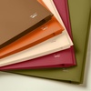 image:imageMr Pen Plastic Folders with Pockets and Prongs 5 Pack Letter Size  Flexible Plastic Folders with ProngsAutumn Earth Colors