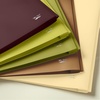 image:imageMr Pen Plastic Folders with Pockets and Prongs 5 Pack Letter Size  Flexible Plastic Folders with ProngsDark Earthy