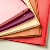 image:imageMr Pen Plastic Folders with Pockets and Prongs 5 Pack Letter Size  Flexible Plastic Folders with ProngsSunset Shades