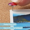 image:imageMr Pen Thumb Tack 500 Pack Black Flat Push Pins Bulk  Metal Roundness Push Pins Office Tacks for Corkboard Hanging Maps Poster Picture and Creating Different Art ProjectSummer Style