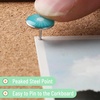 image:imageMr Pen Thumb Tack 500 Pack Black Flat Push Pins Bulk  Metal Roundness Push Pins Office Tacks for Corkboard Hanging Maps Poster Picture and Creating Different Art ProjectBotanic Bloom