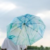 image:imageMr Pen Windproof Travel Umbrella Small WaterResistant Automatic Folding Umbrella for Rain and Sun Light Compact and Portable for Women amp Men Fits Car amp BackpackBlue Monstera