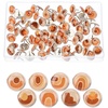 image:imageMr Pen Thumb Tack 500 Pack Black Flat Push Pins Bulk  Metal Roundness Push Pins Office Tacks for Corkboard Hanging Maps Poster Picture and Creating Different Art ProjectBoho Decorative