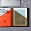 image:imageMr Pen Binder Dividers with Pockets and Tabs 16 Pack Colorful  3 Ring Binder Dividers with Tabs and Pockets on Both SidesUrban Sky