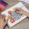 image:imageMr Pen Colored Pencils 144 Pack Color Pencil Set Color Pencils