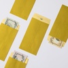 image:imageMr Pen Money Envelopes for Cash 65 x 35 100 Pack Kraft Paper  SelfAdhesive Bulk Cash Envelopes for Budgeting Money and Coin Saving Check Budget Small Item OrganizingGold