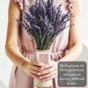 image:imageMr Pen Prayer Cards 60 Unique Bible Verse Boho Theme  Mini Scripture Cards for Women and Men