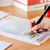 image:imageMr Pen Stationery Writing Paper Set with Envelopes 52 x 73  60 Letter Sheets amp 30 Envelopes Smooth Printable Letter Paper for Handwritten Notes Personal Letters InvitationsMisty forest