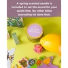 image:imageSelah by Mr Pen Spring Bible Journaling Kit Limited Edition  Journaling Kit with Highlighters Gel Pens Washi Tape Sticky Notes Stickers Scented Candle Bookmark