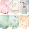 Cherry blossoms