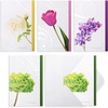 image:imageMr Pen Sympathy Cards 12 Pcs Bereavement Cards with EnvelopesMulticolor