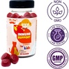 image:imageElderberry Vitamin C Zinc Gummies for Kids  60 Count  2 month Supply  4  Years Immune Support Gummies Low Sugar Non GMO Vegan Gluten Free Pectin Chews