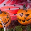image:imageMr Pen Halloween Plastic Spiders Black 20 pcs  Small Plastic Spiders Halloween Spiders Small Fake Spiders Halloween Decorations Spiders Fake Spider Prank Toy