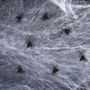 image:imageMr Pen Halloween Plastic Spiders Black 20 pcs  Small Plastic Spiders Halloween Spiders Small Fake Spiders Halloween Decorations Spiders Fake Spider Prank Toy