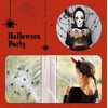 image:imageMr Pen Halloween Plastic Spiders Black 20 pcs  Small Plastic Spiders Halloween Spiders Small Fake Spiders Halloween Decorations Spiders Fake Spider Prank Toy