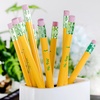 image:imageMr Pen Jumbo Pencils 10 Pack with 1 Sharpener Yellow Barrels  Smooth Black 2 HB Graphite Cores Large Preschool Pencils Smooth Writing Lead for Kindergarten Kids and School Supplies20
