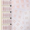 image:imageMr Pen Bible Tabs 75 Tabs Soft Blush Bronze Foil Embossed Lettering  Laminated Bible Tabs for Women and Men Bible Tabs for Study Bible Index Tabs Bible Book Tabs Bible Labels Tabs