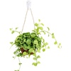 image:imageMr Pen 50 PCS Picture Hangers Hanging Kit  Heavy Duty Hooks for StuccoConcreteHard Walls Without Drilling