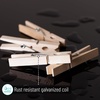 image:imageMr Pen Mini Wooden Clothes Pins for Photo 19 Inch 100 Pack  Small Wooden Craft Clips for Card Making Hanging Pictures Party Favors DIY Art Projects Miniature DecorationsWood